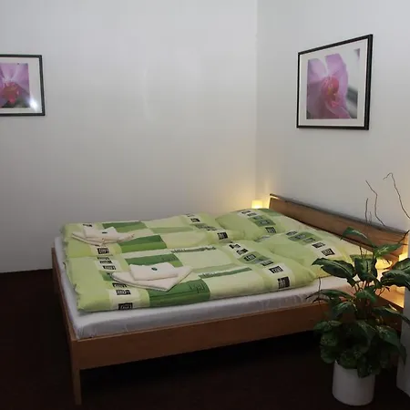 Jelen 3* Karviná